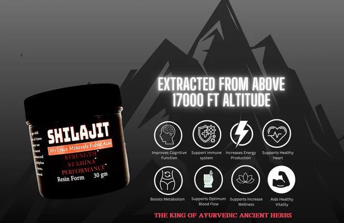 Organic 100% Pure Himalayan Shilajit Resin African Herbal Treasures