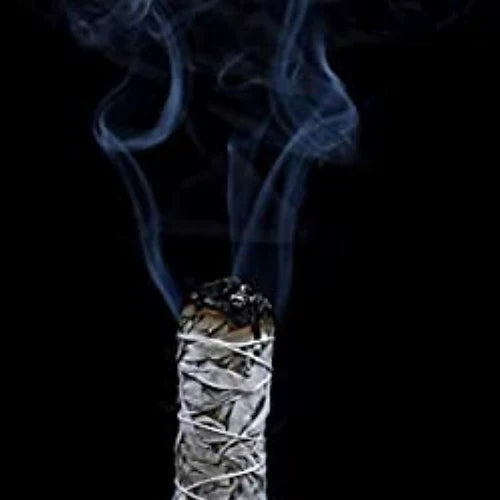 Buy White Sage Product in Usa African Herbal Treasures