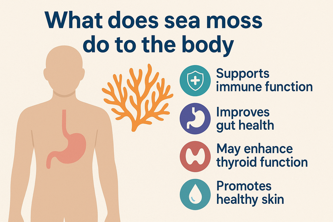 What does sea moss do to the body?